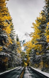 Preview wallpaper road, trees, snow, mountain, peak