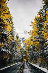 Preview wallpaper road, trees, snow, mountain, peak