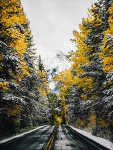 Preview wallpaper road, trees, snow, mountain, peak