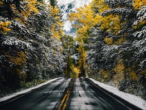 Preview wallpaper road, trees, snow, mountain, peak