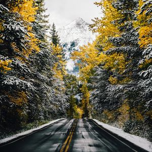 Preview wallpaper road, trees, snow, mountain, peak