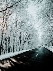 Preview wallpaper road, trees, snow, winter, nature