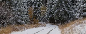 Preview wallpaper road, trees, snow, forest, winter