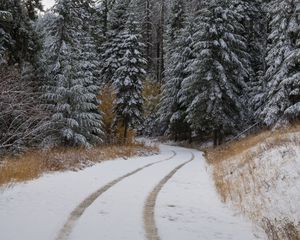 Preview wallpaper road, trees, snow, forest, winter