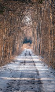 Preview wallpaper road, trees, snow, winter, forest