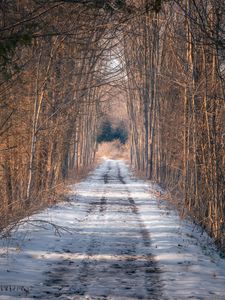 Preview wallpaper road, trees, snow, winter, forest