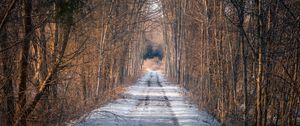 Preview wallpaper road, trees, snow, winter, forest