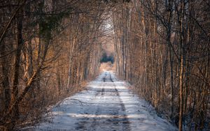 Preview wallpaper road, trees, snow, winter, forest