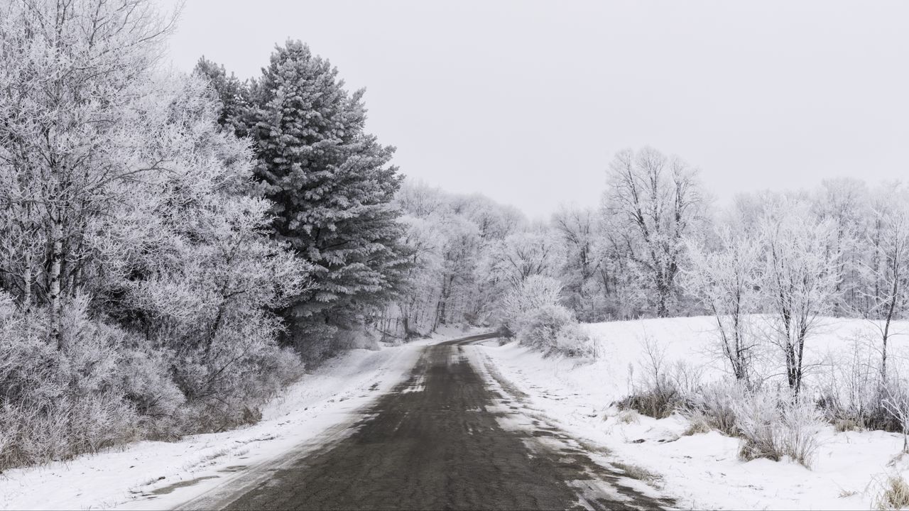 Wallpaper road, trees, snow, winter, landscape