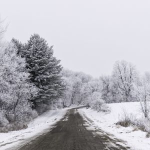 Preview wallpaper road, trees, snow, winter, landscape