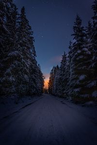 Preview wallpaper road, trees, snow, winter, dusk, dark