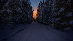 Preview wallpaper road, trees, snow, winter, dusk, dark