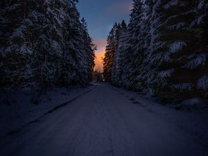Preview wallpaper road, trees, snow, winter, dusk, dark