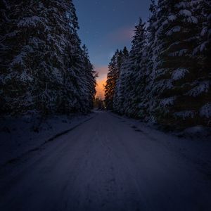 Preview wallpaper road, trees, snow, winter, dusk, dark