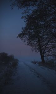 Preview wallpaper road, trees, snow, winter, twilight