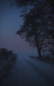 Preview wallpaper road, trees, snow, winter, twilight