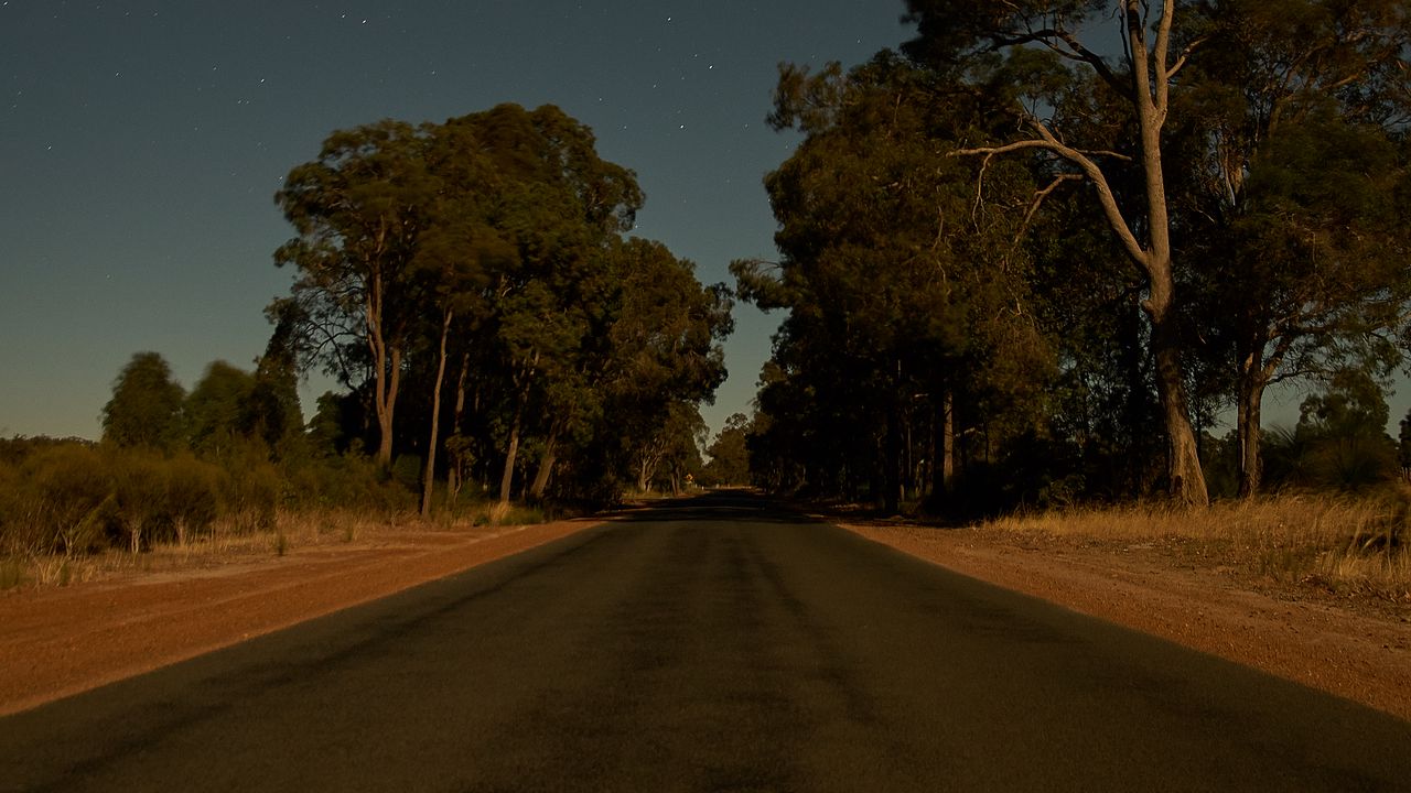 Wallpaper road, trees, stars, evening