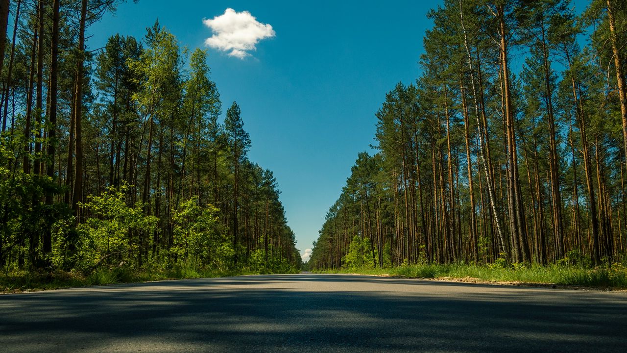 Wallpaper road, trees, summer