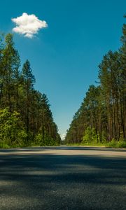 Preview wallpaper road, trees, summer