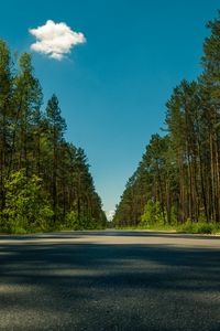 Preview wallpaper road, trees, summer