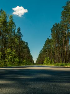 Preview wallpaper road, trees, summer