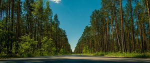 Preview wallpaper road, trees, summer