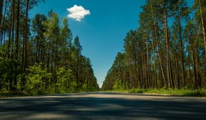 Preview wallpaper road, trees, summer