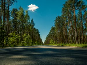 Preview wallpaper road, trees, summer