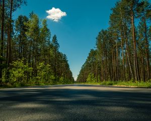 Preview wallpaper road, trees, summer