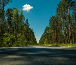 Preview wallpaper road, trees, summer