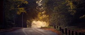 Preview wallpaper road, trees, sun, morning, nature