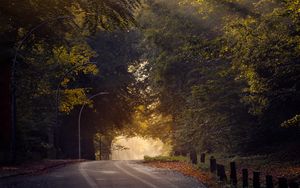 Preview wallpaper road, trees, sun, morning, nature