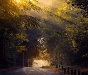 Preview wallpaper road, trees, sun, morning, nature