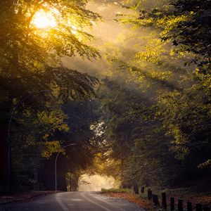 Preview wallpaper road, trees, sun, morning, nature