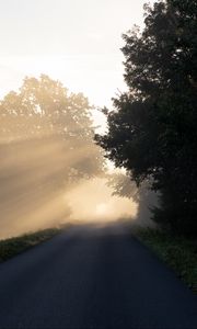 Preview wallpaper road, trees, sunlight, fog, nature