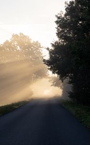 Preview wallpaper road, trees, sunlight, fog, nature