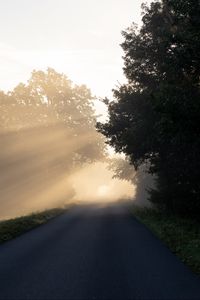 Preview wallpaper road, trees, sunlight, fog, nature
