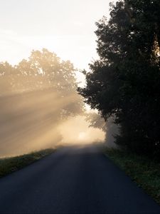 Preview wallpaper road, trees, sunlight, fog, nature