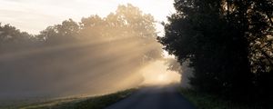 Preview wallpaper road, trees, sunlight, fog, nature