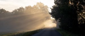 Preview wallpaper road, trees, sunlight, fog, nature