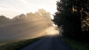 Preview wallpaper road, trees, sunlight, fog, nature