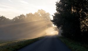 Preview wallpaper road, trees, sunlight, fog, nature