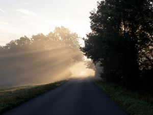 Preview wallpaper road, trees, sunlight, fog, nature