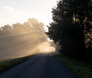 Preview wallpaper road, trees, sunlight, fog, nature