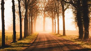 Preview wallpaper road, trees, sunlight, alley, nature