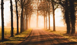 Preview wallpaper road, trees, sunlight, alley, nature