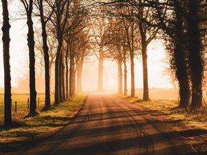 Preview wallpaper road, trees, sunlight, alley, nature