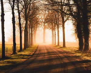 Preview wallpaper road, trees, sunlight, alley, nature