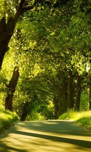 Preview wallpaper road, trees, sunlight, beams, greens, summer