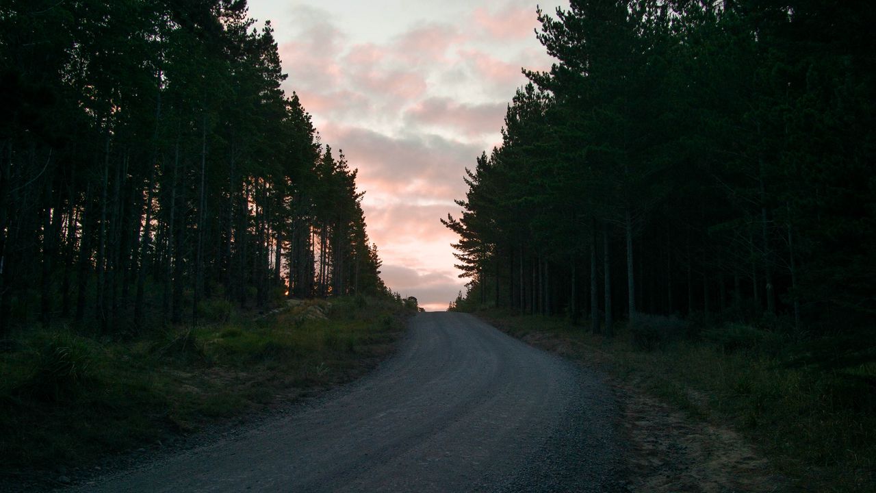 Wallpaper road, trees, sunset, evening, twilight